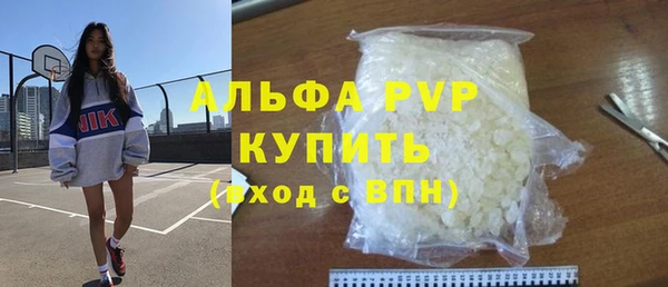 крисы Алексин