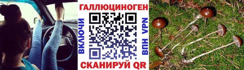 Псилоцибиновые грибы мицелий  Алупка 